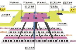 如何正确照顾和喂养你的柯基犬？一份完整指南