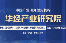 如何正确照顾西高地幼犬？专家分享关键护理技巧