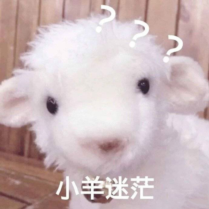 专家教你如何正确养护你的爱犬