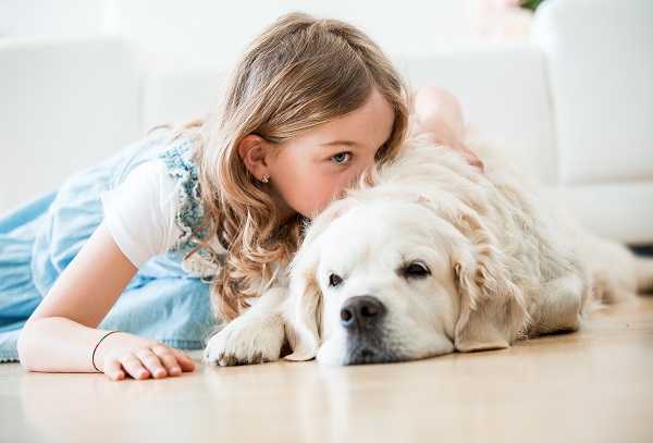 如何有效治疗和护理犬瘟？学会关键方法保护你的宠物健康